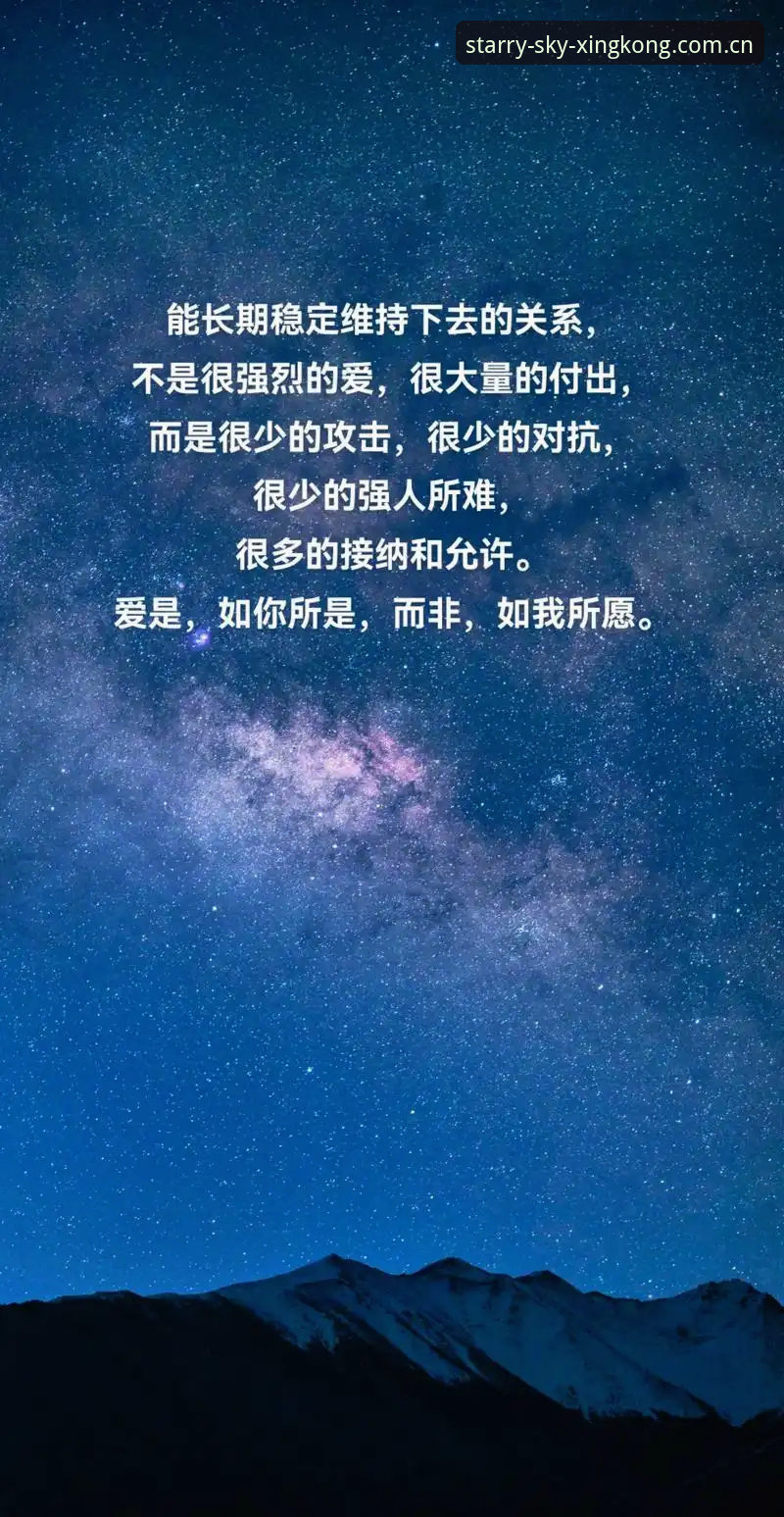 星空体育电脑版必备 星空体育电脑版必备使用指南:从安装到流畅运行的完整攻略